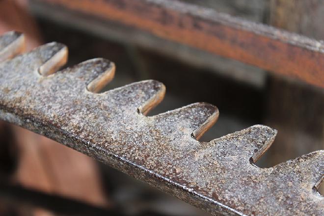 Andy Bell - Wagon Teeth - Bannack