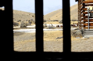 Andy Bell - The Gallows - Bannack